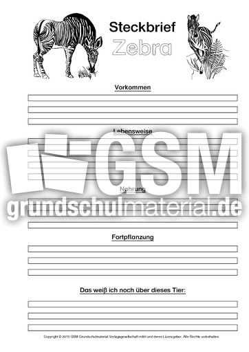 Zebra-Steckbriefvorlage-sw.pdf